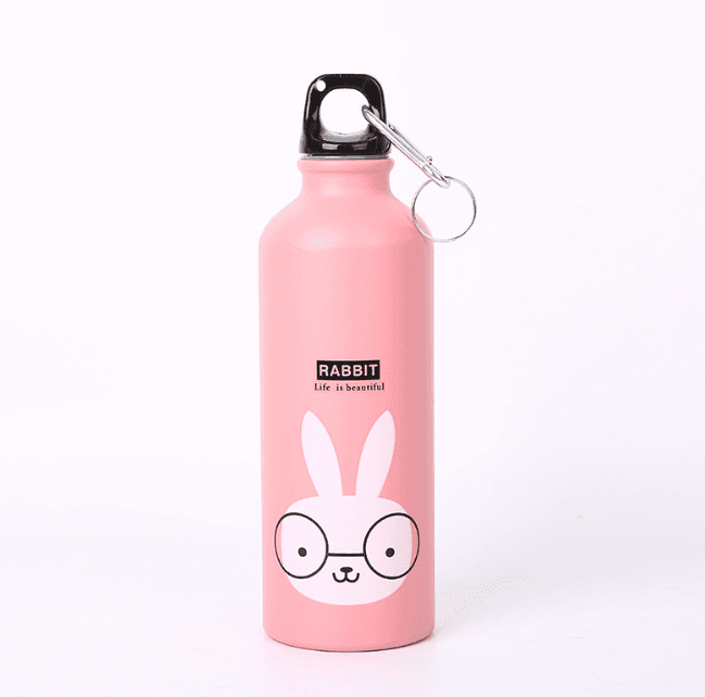 outdoor sports aluminum water bottle 500ml 700ml custom color logo packages for bicycle hiking and backpack outdoor camping activities