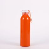 Wholesale Aluminum Outdoor Small Narrow Mouth Sport Water Bottle Screw Cap With Strip Light Weight 500ml ~ 1000ml Seagrass