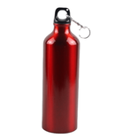 Outdoor Sport Aluminium Wasserflasche 500 ml 700 ml benutzerdefinierte Farblogo -Pakete für Fahrradwanderungen und Rucksack -Campingaktivitäten im Freien 500 ml ~ 1000 ml Alpine