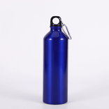 Outdoor Sport Aluminium Wasserflasche 500 ml 700 ml benutzerdefinierte Farblogo -Pakete für Fahrradwanderungen und Rucksack -Campingaktivitäten im Freien 500 ml ~ 1000 ml Alpine