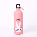 Outdoor Sport Aluminium Wasserflasche 500 ml 700 ml benutzerdefinierte Farblogo -Pakete für Fahrradwanderungen und Rucksack -Campingaktivitäten im Freien 500 ml ~ 1000 ml Alpine